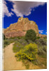 Box Canyon Trail at Abiquiu by Anonymous