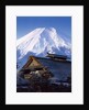 Traditional Thatched Cottage by Anonymous