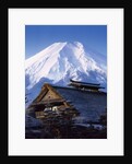 Traditional Thatched Cottage by Anonymous
