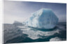 Iceberg at South Georgia Island by Anonymous