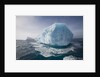 Iceberg at South Georgia Island by Anonymous