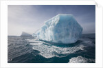 Iceberg at South Georgia Island by Anonymous