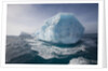 Iceberg at South Georgia Island by Anonymous