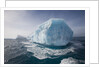 Iceberg at South Georgia Island by Anonymous