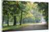 Englischer Garten in Munich by Anonymous