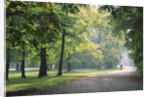 Englischer Garten in Munich by Anonymous