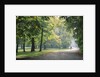 Englischer Garten in Munich by Anonymous