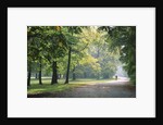 Englischer Garten in Munich by Anonymous