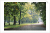 Englischer Garten in Munich by Anonymous