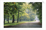 Englischer Garten in Munich by Anonymous