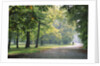 Englischer Garten in Munich by Anonymous