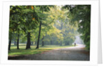 Englischer Garten in Munich by Anonymous
