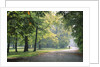 Englischer Garten in Munich by Anonymous