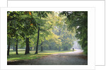 Englischer Garten in Munich by Anonymous