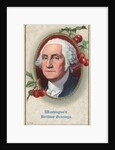 Washington's Birthday Greetings Postcard by Anonymous