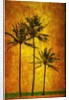 Three Palms by Doug Landreth