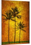 Three Palms by Doug Landreth
