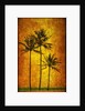 Three Palms by Doug Landreth