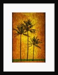 Three Palms by Doug Landreth