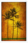 Three Palms by Doug Landreth