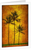 Three Palms by Doug Landreth