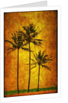 Three Palms by Doug Landreth