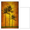 Three Palms by Doug Landreth