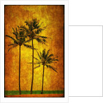 Three Palms by Doug Landreth