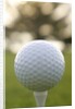 Golf by Anonymous