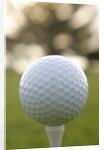Golf by Anonymous