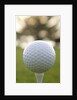 Golf by Anonymous