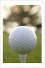 Golf by Anonymous