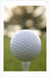 Golf by Anonymous