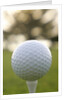 Golf by Anonymous