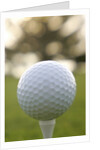 Golf by Anonymous