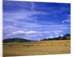 Rolls of Hay in Medmenham by Anonymous
