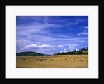 Rolls of Hay in Medmenham by Anonymous