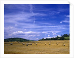 Rolls of Hay in Medmenham by Anonymous