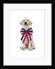 Lab Puppy Wearing Patriotic Bow Tie by Anonymous