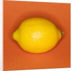 Lemon by Anonymous