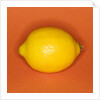 Lemon by Anonymous