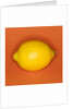 Lemon by Anonymous
