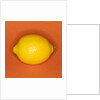 Lemon by Anonymous