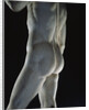 Detail of David by Michelangelo