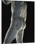Detail of David by Michelangelo