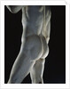 Detail of David by Michelangelo