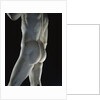 Detail of David by Michelangelo