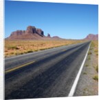 Desert Road by Anonymous