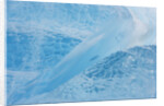 Neumayer Glacier on South Georgia Island by Anonymous