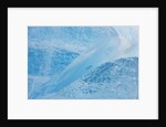 Neumayer Glacier on South Georgia Island by Anonymous
